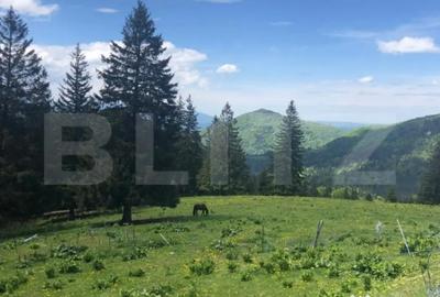 Teren de 5500 mp, în Central - 5