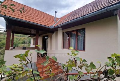 Casă cu 3 camere în Galda de Jos - 10