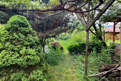 Casa / Vila cu 3 camere de vanzare in zona Vest - 6