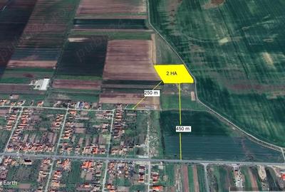 2 ha teren de vanzare in Vladimirescu- Cicir - 2