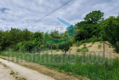 Teren intravilan 2510 mp, Livezilor, Somcuta Mare, zona cu potential de dezvoltare turistic - 3