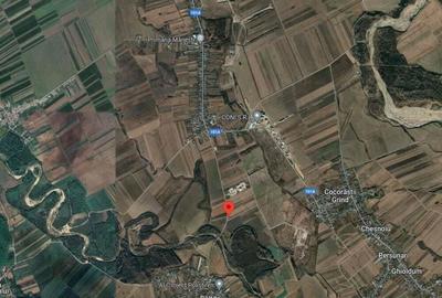 Teren Extravilan Manesti, jud. Prahova - ID: R1979552 - 1