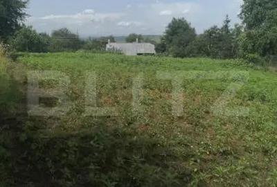 Casa Individuala Sf. Ilie Vechi 2300mp - 8