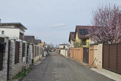 CIPRIAN PORMBESCU - 2