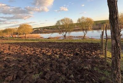 Teren de 2200 mp, în Iepurești - 6