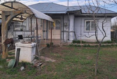 Casă cu 3 camere cu Teren 2373 Mp în Măldăeni - 4