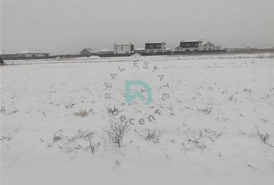 Teren Construcții intravilan de 1000 mp, în Cristian - 7