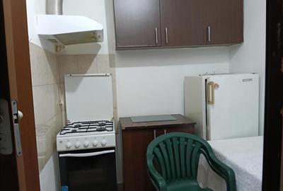 Camera de camin, 21 mp, zona Valea Rosie - 6