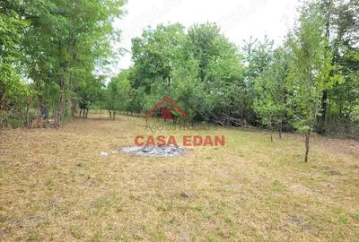 Teren intravilan in Banesti--2093mp--59.000e - 12