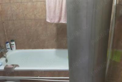 Vand casa Ru?ii Munti - 2