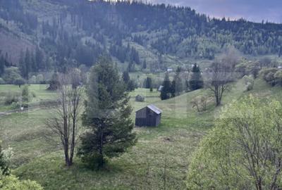 Teren de 4666 mp, în Central