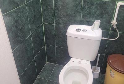 Spațiu comercial, de 500 mp, în Halta Traian - 2