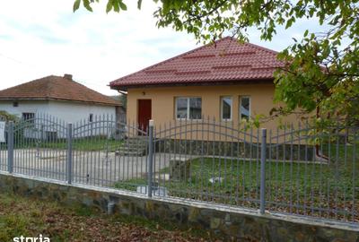 Casă cu 4 camere cu Teren 2100 Mp în Ludești - 6