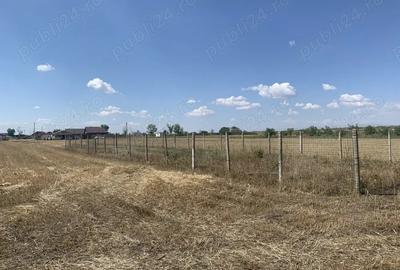Teren de 1225 mp, în Vasile Alecsandri - 6