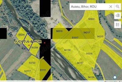 Teren de 8000 mp, în Cacuciu Vechi - 1