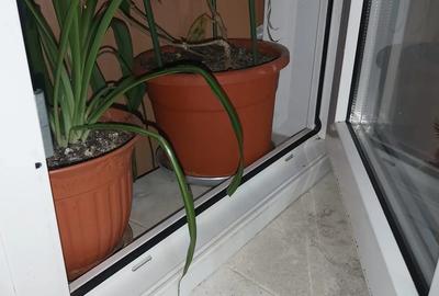 Vand apartament 2 camere - 5