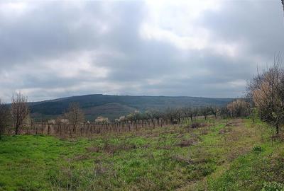 Aroneanu - Dorobant TEREN 46000mp PUZ realizat 59 de case la str principala cu t - 5