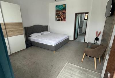 Garsonieră decomandată, mobilată în Brăilei - 1