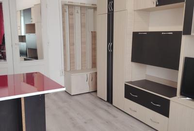 Garsonieră nedecomandată în Uzina 2 - 4