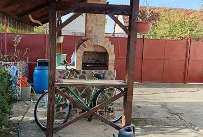 Casă cu 8 camere cu Teren 3000 Mp în Cermei - 1