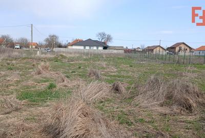Teren Construcții intravilan de 798 mp, în Peciu Nou - 7