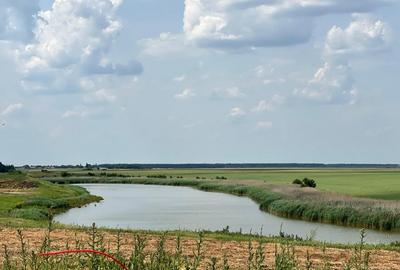 Teren Frumusani | RATE 24 LUNI | Utilitati | Investitie | D.N. 4 - 6