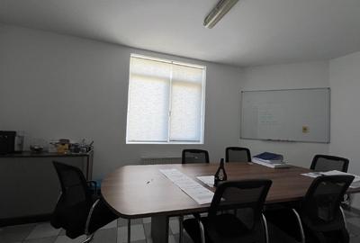 Proprietar – Domenii, vilă pentru birouri sau cabinete medicale - 7