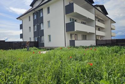 Apartament cu doua camere, gradina 300mp, Sanpetru - 9