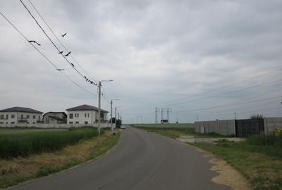 Domnesti-Narciselor - 9