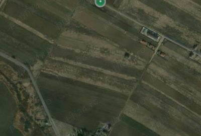 Teren de 2700 mp, în Dragomirești-Vale - 4