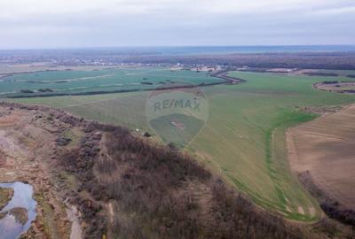 Vanzare teren extravilan 310,000 mp Catunu/Berceni, langa Ploiesti
