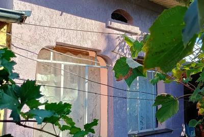 Casă cu 3 camere în Călina