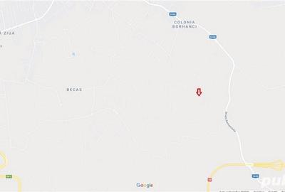 Teren de 4039 mp, în Borhanci - 9