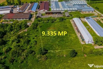 Teren de 9335 mp, în Teliu - 6