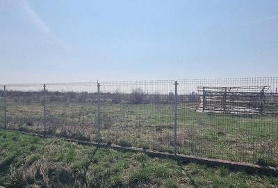 Teren de 30500 mp, în Bradu - 3