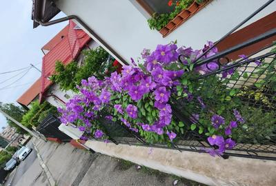 Casă cu 4 camere în Central - 5