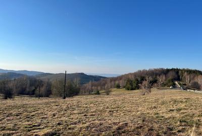 Spațiu comercial, în Damiș - 4