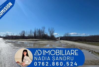 Teren intravilan de 12771 mp, în Bârsești - 1