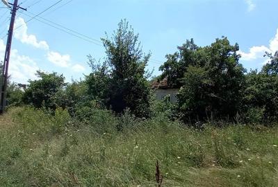 Vanzare Casa + Teren Rajletu-Govora - 4