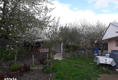 Teren de 1150 mp, în Podu Roș - 11
