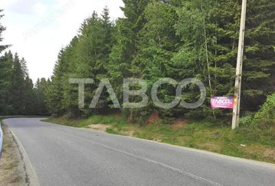 Teren cu puz intravilan in localitatea Paltinis din judetul Sibiu - 5
