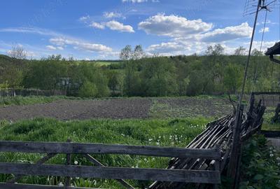 Vand casa in Luna de Jos - 3