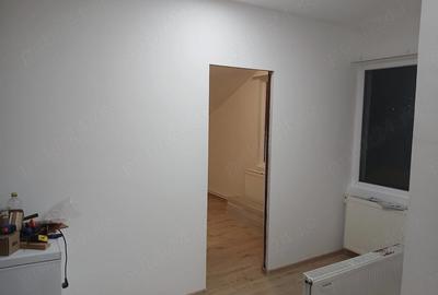 Casă cu Teren 18000 Mp în Vaida-Cămăraș - 3