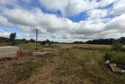 Teren extravilan, 6500mp,  Cristian - 1