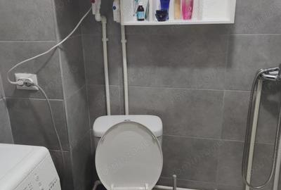 Vanzare garsoniera zona Ozana - 1