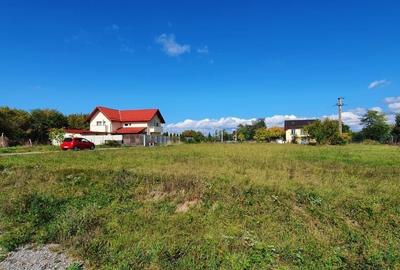 Spațiu comercial, în Cărpiniș - 4