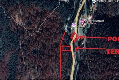 TEREN EXTRAVILAN PADURE PISCUL NEGRU ARGES - 10