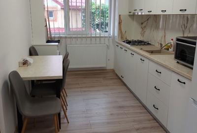 Apartament cu 2 camere decomandat în Paltin - 4