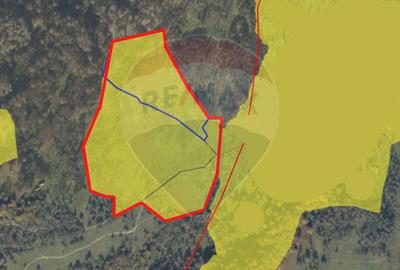 Teren agricol extravilan de 93334 mp, în Ocna Șugatag - 1