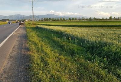 Teren agricol extravilan de 4600 mp, în Stupini